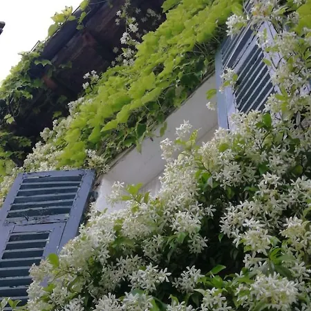 Villa Casale Maria Mafalda Pieve di Teco